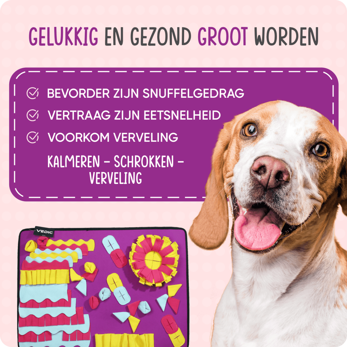 XXL Snuffelmat Purple Paradise - VEDIC